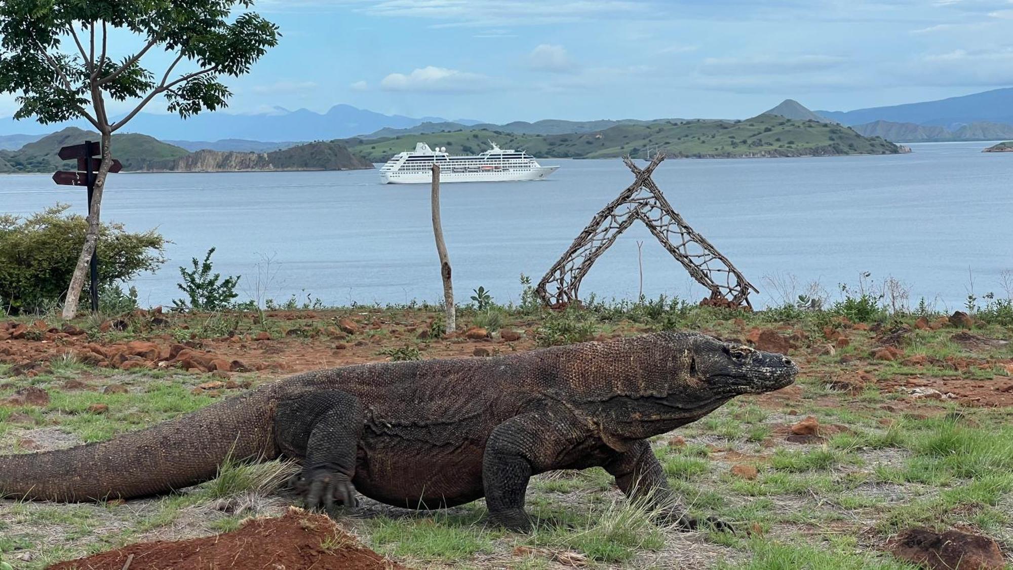 Jhuna Komodo Homestay Exteriör bild